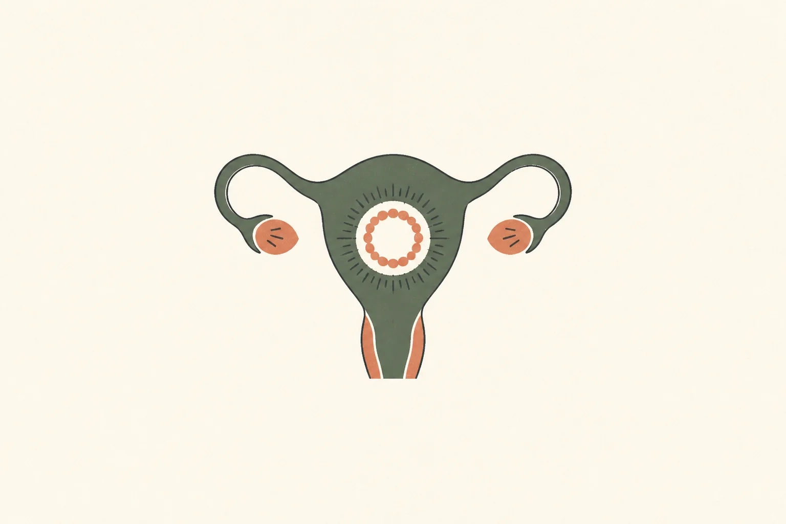 Découvrez ce qu’est une coupe menstruelle, comment la mettre en place, la retirer et l’entretenir, ainsi que ses avantages, ses limites et ses réponses aux q...