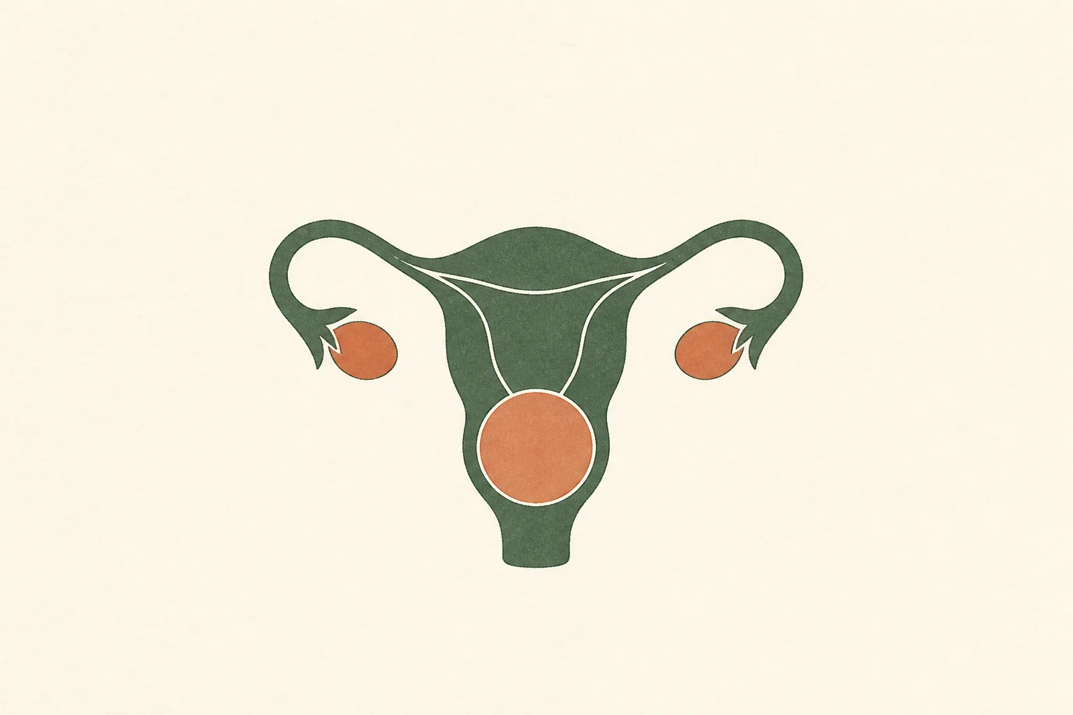 Le placenta praevia correspond à un placenta implanté trop bas dans l’utérus, pouvant gêner l’accouchement. Découvrez ses symptômes, son diagnostic et la con...